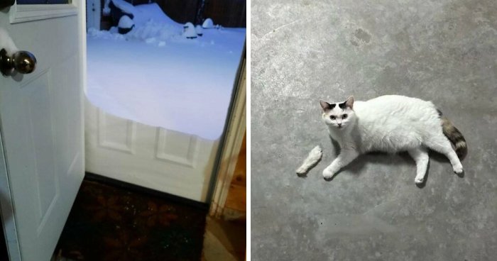 73 Unedited Photos That Might Mess With Your Already Tired Brain (New Pics)