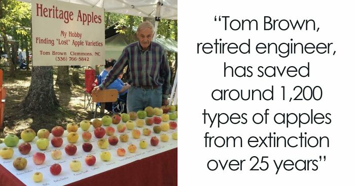 “Devil Sunrise”: 71 Interesting Photos That Might Show You Something You Haven’t Seen Before (New Pics)