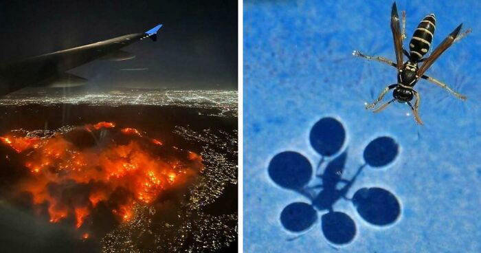 “Devil Sunrise”: 71 Interesting Photos That Might Show You Something You Haven’t Seen Before (New Pics)