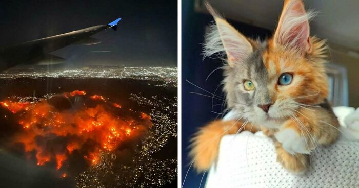 “Devil Sunrise”: 71 Interesting Photos That Might Show You Something You Haven’t Seen Before (New Pics)