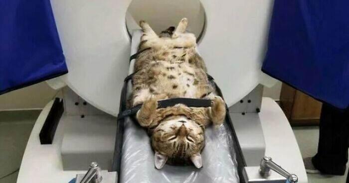 “Devil Sunrise”: 71 Interesting Photos That Might Show You Something You Haven’t Seen Before (New Pics)