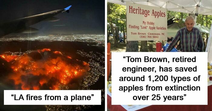 “Devil Sunrise”: 71 Interesting Photos That Might Show You Something You Haven’t Seen Before (New Pics)