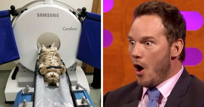 “Devil Sunrise”: 71 Interesting Photos That Might Show You Something You Haven’t Seen Before (New Pics)