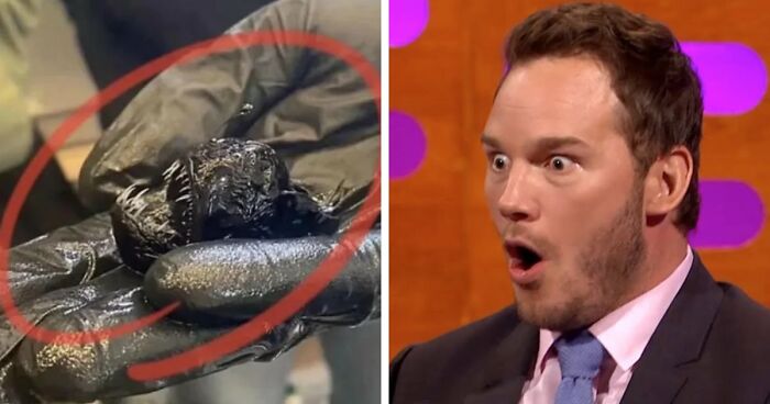 “Devil Sunrise”: 71 Interesting Photos That Might Show You Something You Haven’t Seen Before (New Pics)