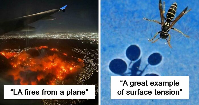 “Devil Sunrise”: 71 Interesting Photos That Might Show You Something You Haven’t Seen Before (New Pics)