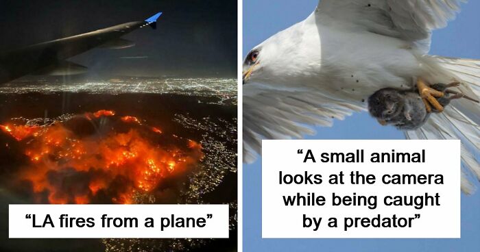 “Devil Sunrise”: 71 Interesting Photos That Might Show You Something You Haven’t Seen Before (New Pics)