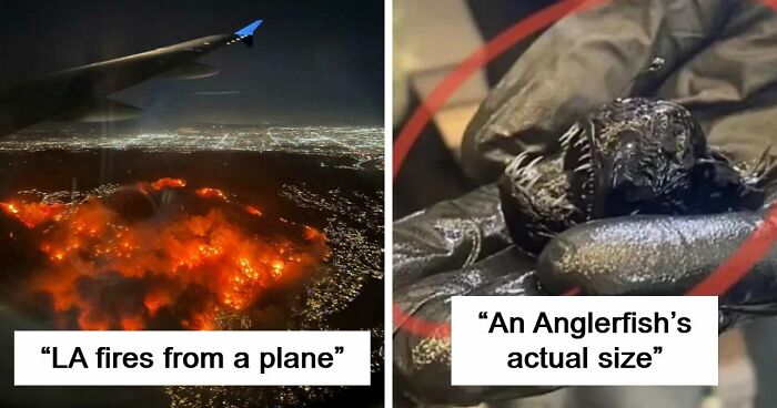 “Devil Sunrise”: 71 Interesting Photos That Might Show You Something You Haven’t Seen Before (New Pics)