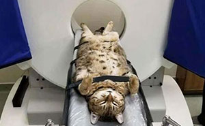 71 Interesting Pics And Facts For Those Who Want To Keep On Learning (New Pics)