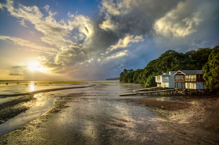 Sunset over a muddy tidal flat with houses on stilts by a forested shore. People rage quit jobs for various reasons.