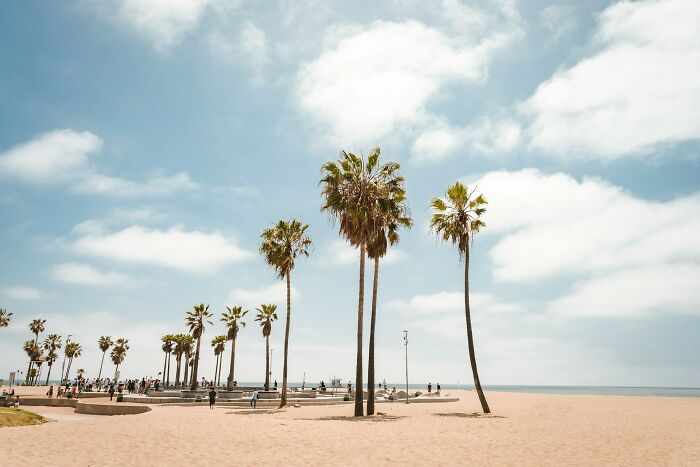 Beach scene with tall palm trees and sparse visitors under a partly cloudy sky at one of the worst places in the US