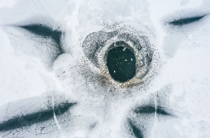 Category Winner, Prize Of The Jury: Shelter At The Ice Hole By Roy Müller