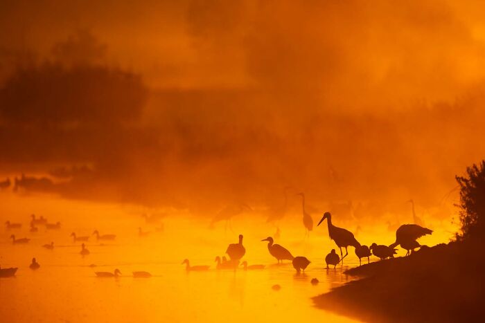 5th Place, Special Category: Foggy Morning By Christoph Kaula