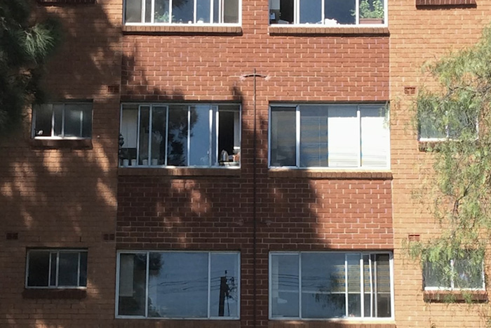 Olympic Hopeful Hid Multiple Pregnancies And Births From Everyone Before The Last Baby Vanished Without A Trace