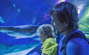 57 Funny But Also Pretty Hurtful Things Kids Said Because They’re Always So Honest