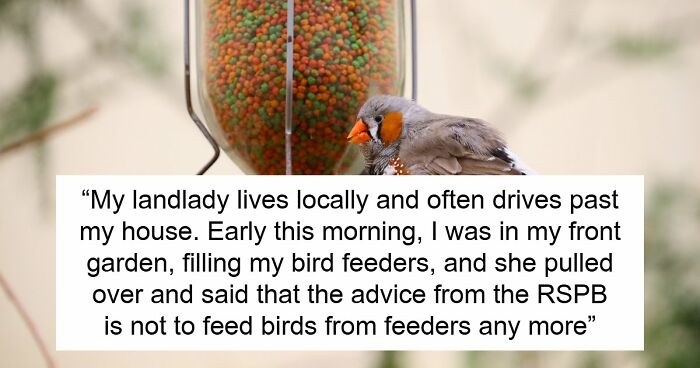 Tenant Discovers Landlady Raided Her Garden And Took Her Bird Feeders, Calls The Police On Her