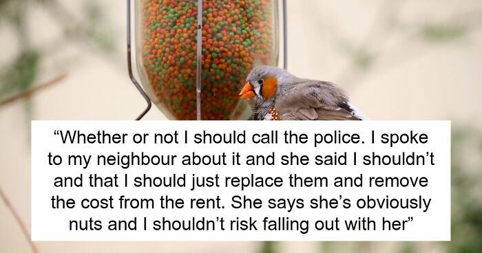 Tenant Discovers Landlady Raided Her Garden And Took Her Bird Feeders, Calls The Police On Her