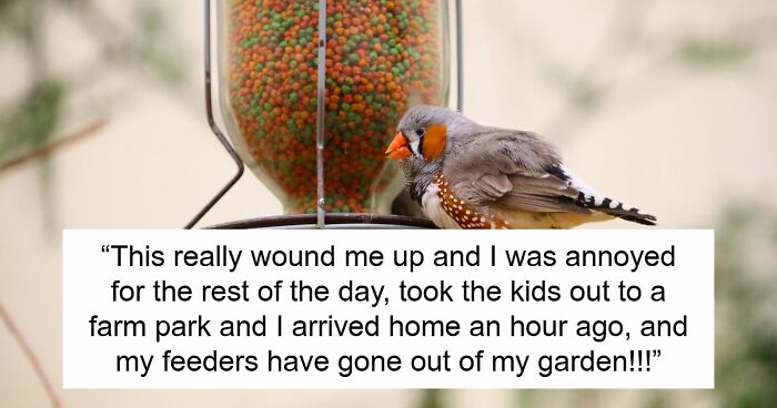 Tenant Discovers Landlady Raided Her Garden And Took Her Bird Feeders, Calls The Police On Her