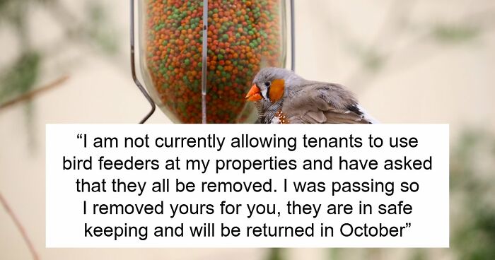 Tenant Discovers Landlady Raided Her Garden And Took Her Bird Feeders, Calls The Police On Her