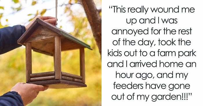 Tenant Mortified After Noticing Landlady Removes Her Bird Feeders, Considers Involving Police