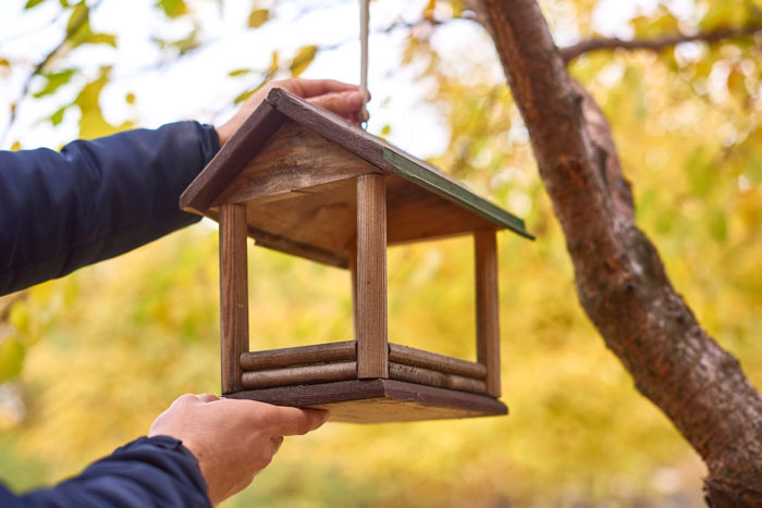 Tenant Mortified After Noticing Landlady Removes Her Bird Feeders, Considers Involving Police