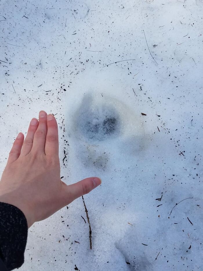 37 Mysterious Things That Happened And People Still Don’t Have An Explanation For Them