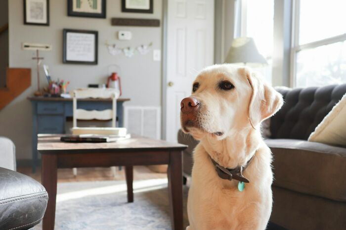 49 Shocking Stag And Hen Party Stories That Would Break Off Most Engagements