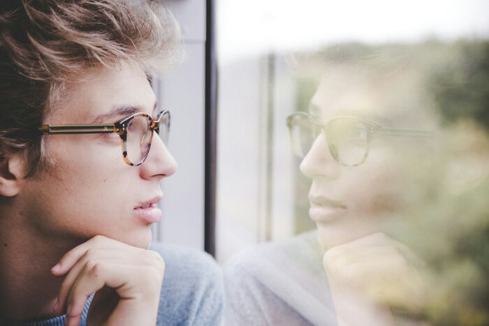 A young man with glasses looks thoughtfully out a window, reflecting on family secrets.
