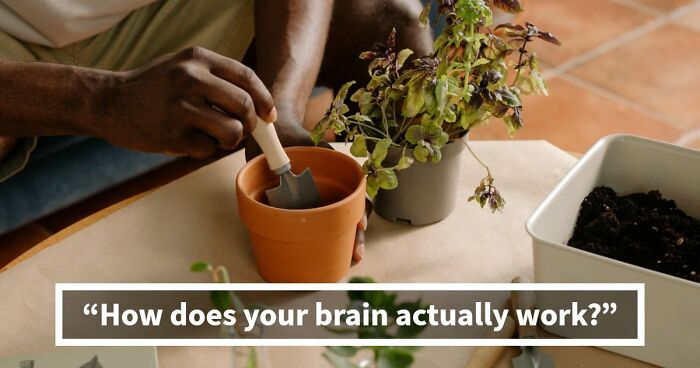 “Is Your Brain More Logical Or Creative?”: Answer These 30 Questions And Find Out