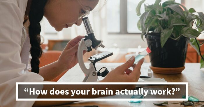 “Is Your Brain More Logical Or Creative?”: Answer These 30 Questions And Find Out