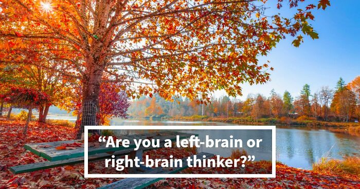 “Is Your Brain More Logical Or Creative?”: Answer These 30 Questions And Find Out