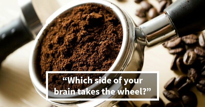 “Is Your Brain More Logical Or Creative?”: Answer These 30 Questions And Find Out