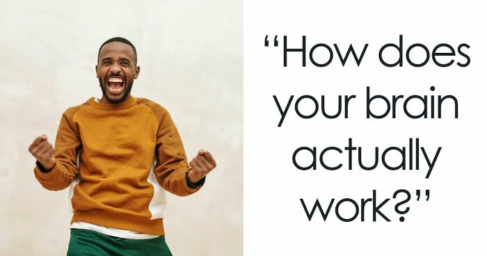 “Is Your Brain More Logical Or Creative?”: Answer These 30 Questions And Find Out