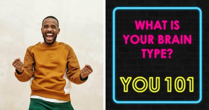 “Is Your Brain More Logical Or Creative?”: Answer These 30 Questions And Find Out