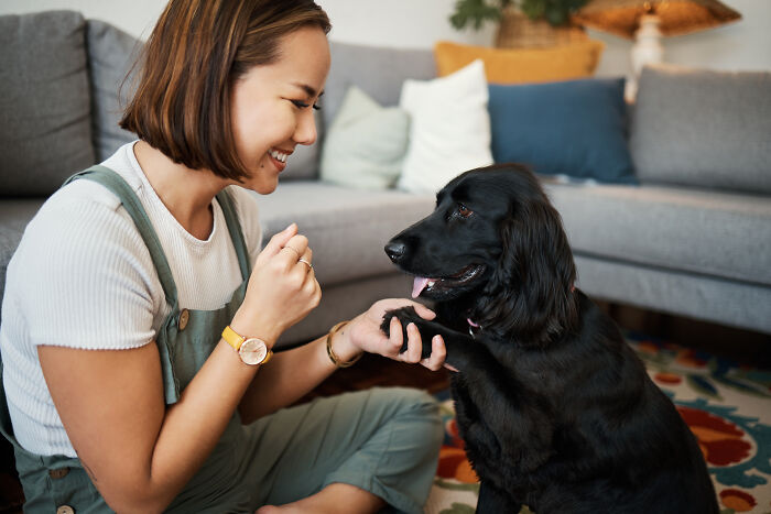 A woman smiles at her black dog as it gives her a paw, demonstrating pets acting like humans.
