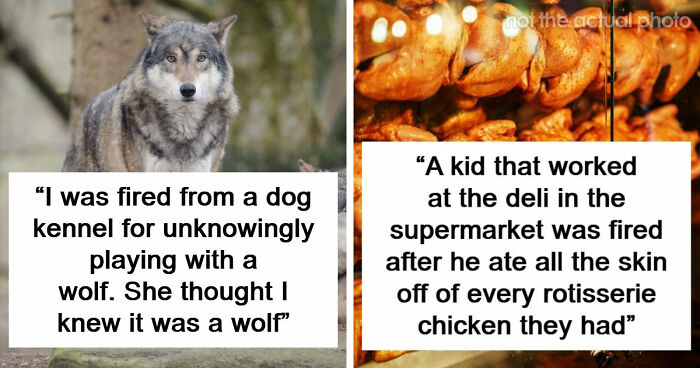 Employers Share 103 Of The Wildest And Weirdest Reasons They Had To Fire Someone