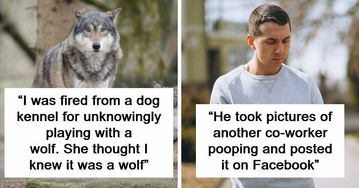 Employers Share 103 Of The Wildest And Weirdest Reasons They Had To Fire Someone