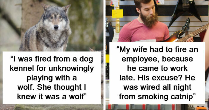 Employers Share 103 Of The Wildest And Weirdest Reasons They Had To Fire Someone