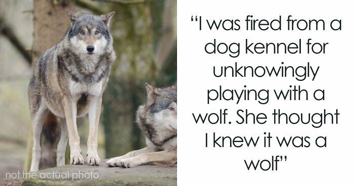 Employers Share 103 Of The Wildest And Weirdest Reasons They Had To Fire Someone