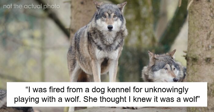 Employers Share 103 Of The Wildest And Weirdest Reasons They Had To Fire Someone