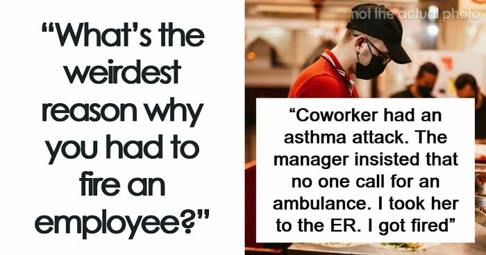 Employers Share 103 Of The Wildest And Weirdest Reasons They Had To Fire Someone