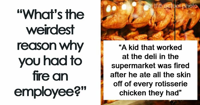 Employers Share 103 Of The Wildest And Weirdest Reasons They Had To Fire Someone
