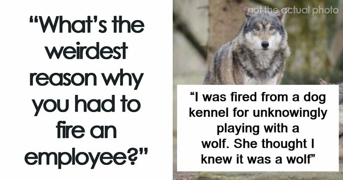 Employers Share 103 Of The Wildest And Weirdest Reasons They Had To Fire Someone