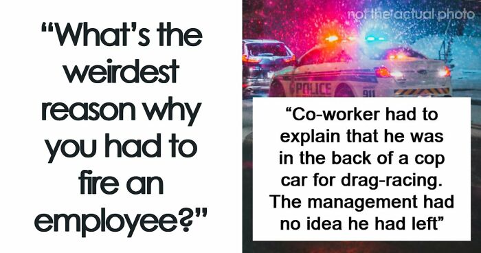 Employers Share 103 Of The Wildest And Weirdest Reasons They Had To Fire Someone