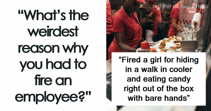 Employers Share 103 Of The Wildest And Weirdest Reasons They Had To Fire Someone