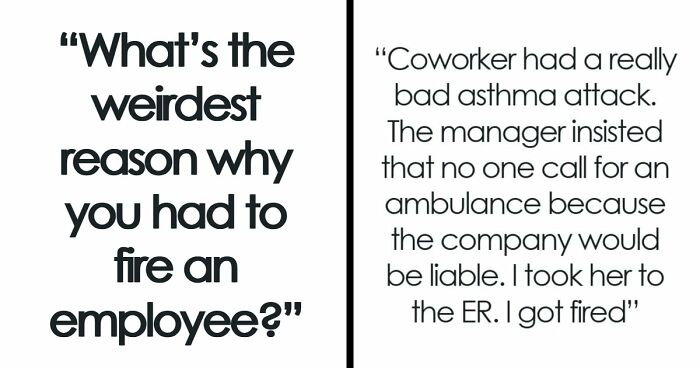 Employers Share 103 Of The Wildest And Weirdest Reasons They Had To Fire Someone