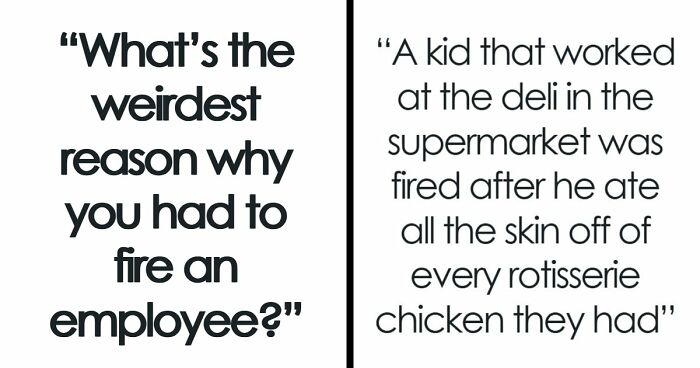 Employers Share 103 Of The Wildest And Weirdest Reasons They Had To Fire Someone