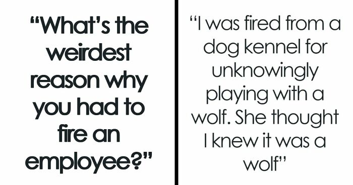 Employers Share 103 Of The Wildest And Weirdest Reasons They Had To Fire Someone