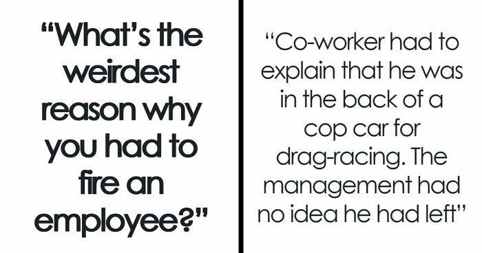 Employers Share 103 Of The Wildest And Weirdest Reasons They Had To Fire Someone