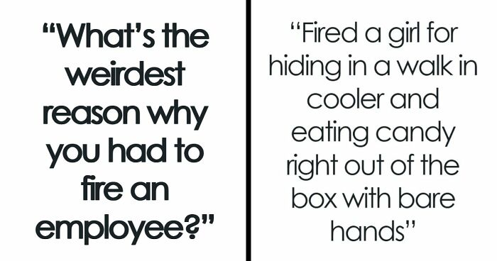 Employers Share 103 Of The Wildest And Weirdest Reasons They Had To Fire Someone