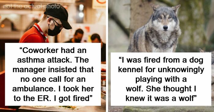 Employers Share 103 Of The Wildest And Weirdest Reasons They Had To Fire Someone